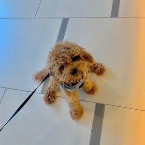 Meet your Posher, David